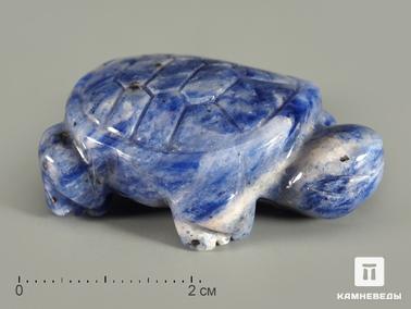 Содалит. Черепаха из содалита, 4х2,8х1,6 см