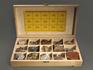 Коллекция металлических полезных ископаемых (15 образцов, состав №1) в деревянной коробке, 8394, фото 1