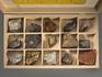 Коллекция металлических полезных ископаемых (15 образцов, состав №1) в деревянной коробке, 8394, фото 2
