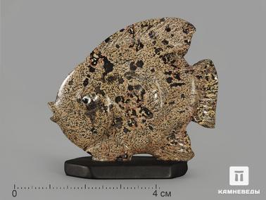 Доломит. Рыба из дендритового доломита, 4,9х4,5х2 см