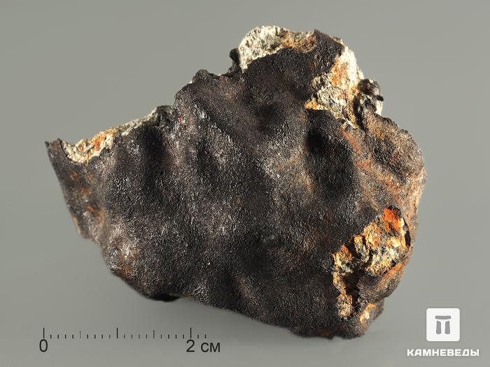 Метеорит Челябинск LL5, 67,71 г, 8341, фото 2