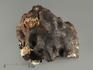 Метеорит Челябинск LL5, 67,71 г, 8341, фото 1