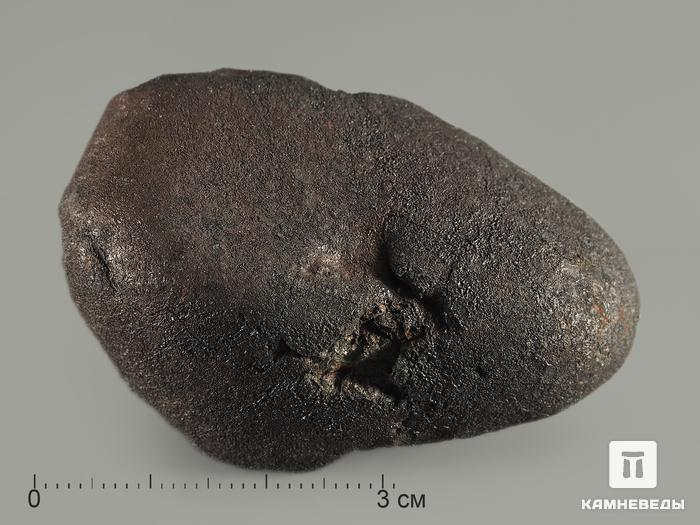 Метеорит Челябинск LL5, 59,30 г, 8340, фото 2