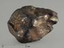 Метеорит Челябинск LL5, 50,48 г, 8339, фото 2