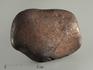 Метеорит Челябинск LL5, 39,05 г, 8338, фото 1