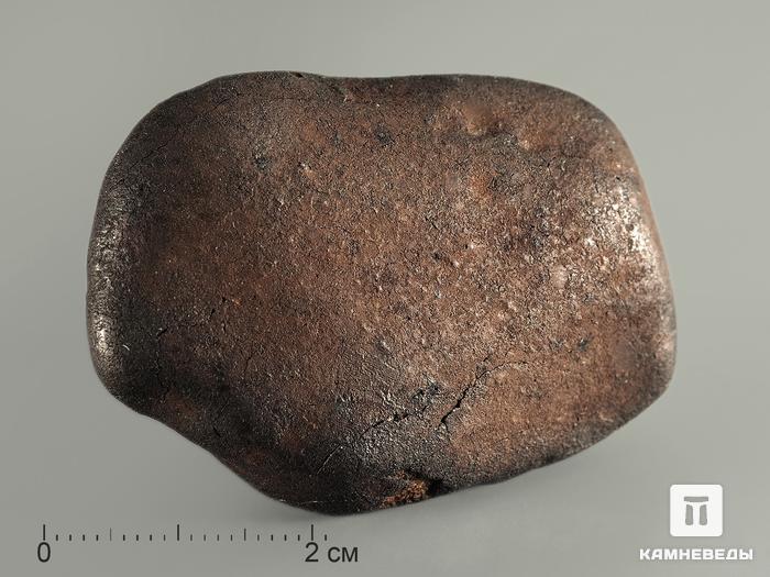 Метеорит Челябинск LL5, 39,05 г, 8338, фото 1