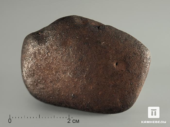Метеорит Челябинск LL5, 39,05 г, 8338, фото 2