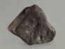 Метеорит Челябинск LL5, 21,25 г, 8337, фото 2