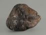 Метеорит Челябинск LL5, 19,96 г, 8333, фото 2