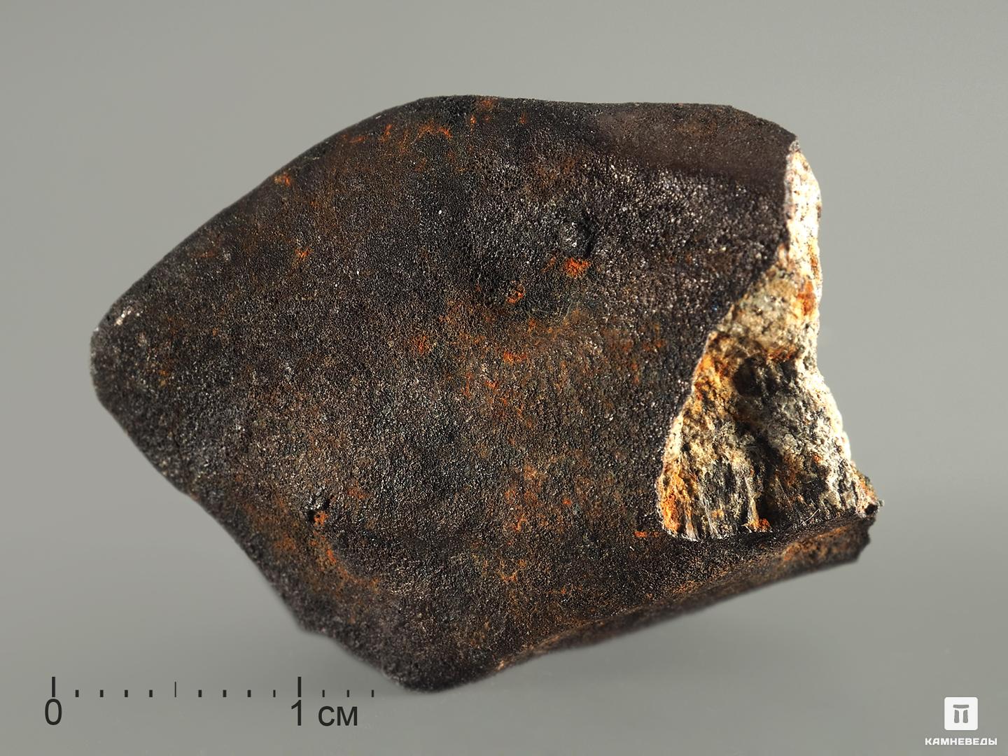 Метеорит Челябинск LL5, 19,69 г магнит марка челябинск