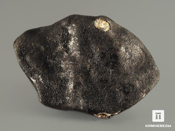 Метеорит Челябинск LL5, 9,19 г, 8330, фото 2