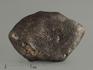 Метеорит Челябинск LL5, 9,19 г, 8330, фото 1