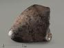 Метеорит Челябинск LL5, 10,52 г, 8328, фото 1