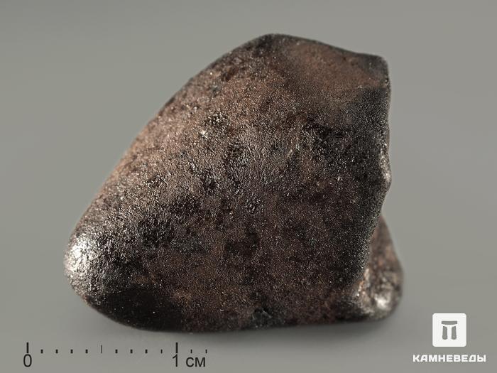 Метеорит Челябинск LL5, 10,52 г, 8328, фото 1