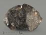 Метеорит Челябинск LL5, 7,75 г, 8326, фото 1