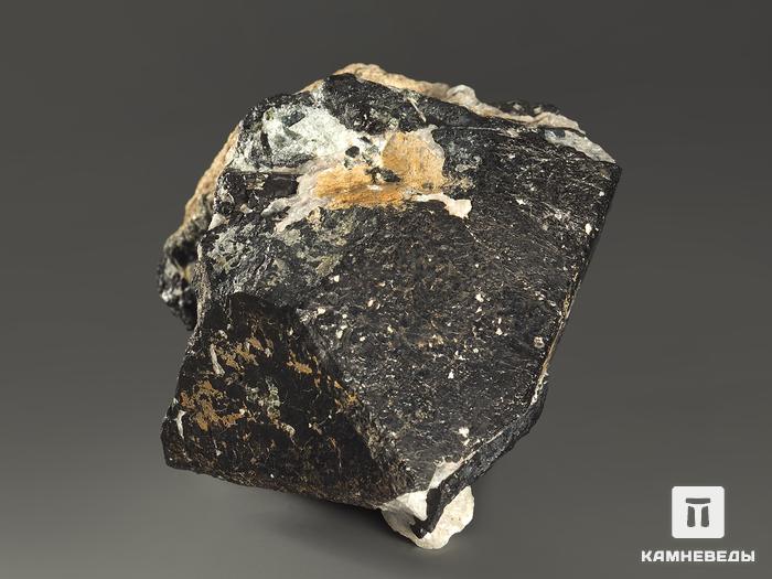 Магнетит, кристалл 7х5,8х4,8 см, 8549, фото 2