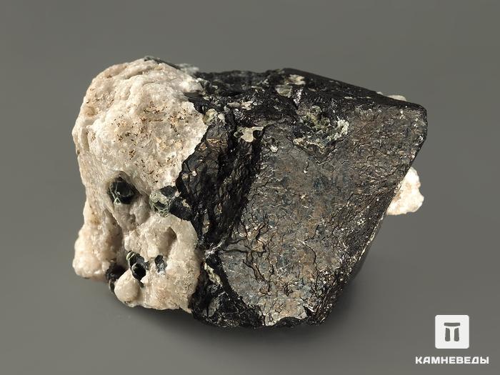 Магнетит, кристалл 3-3,5 см, 10-189/8, фото 3