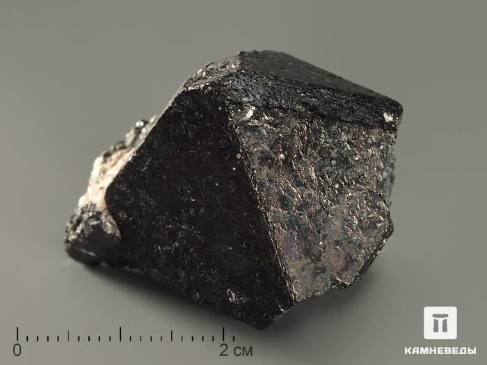 Магнетит, кристалл 3-3,5 см, 10-189/8, фото 1