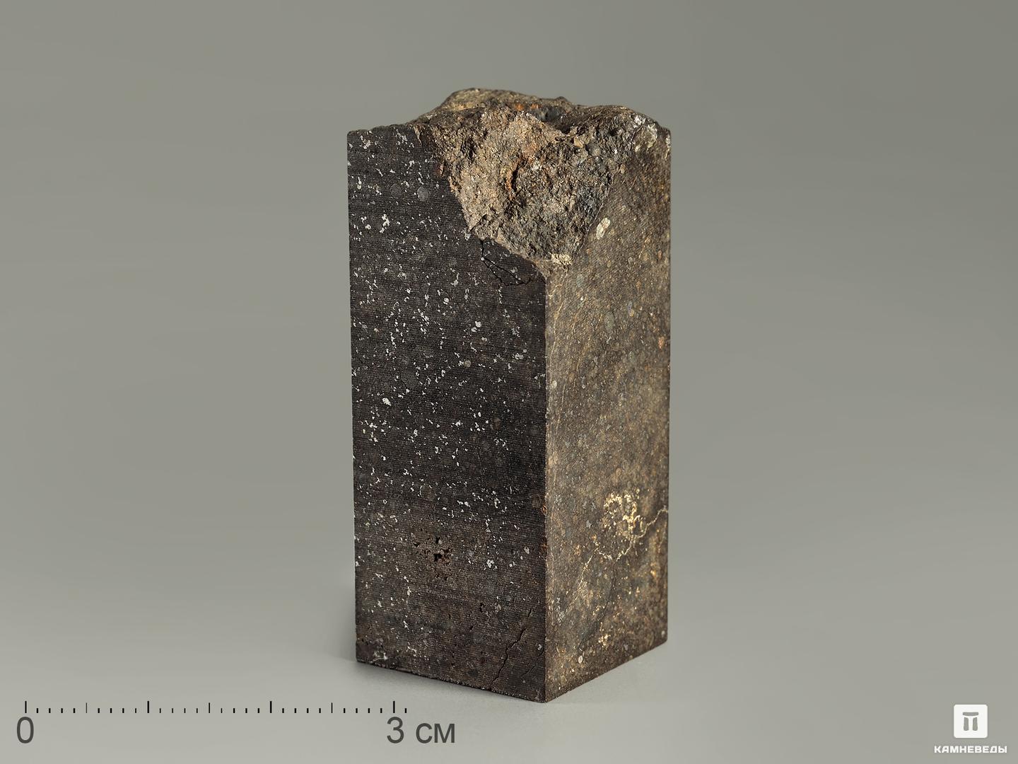 Метеорит Кольцово, полировка 4,9х2х2 см (62,38 г) каменный лес
