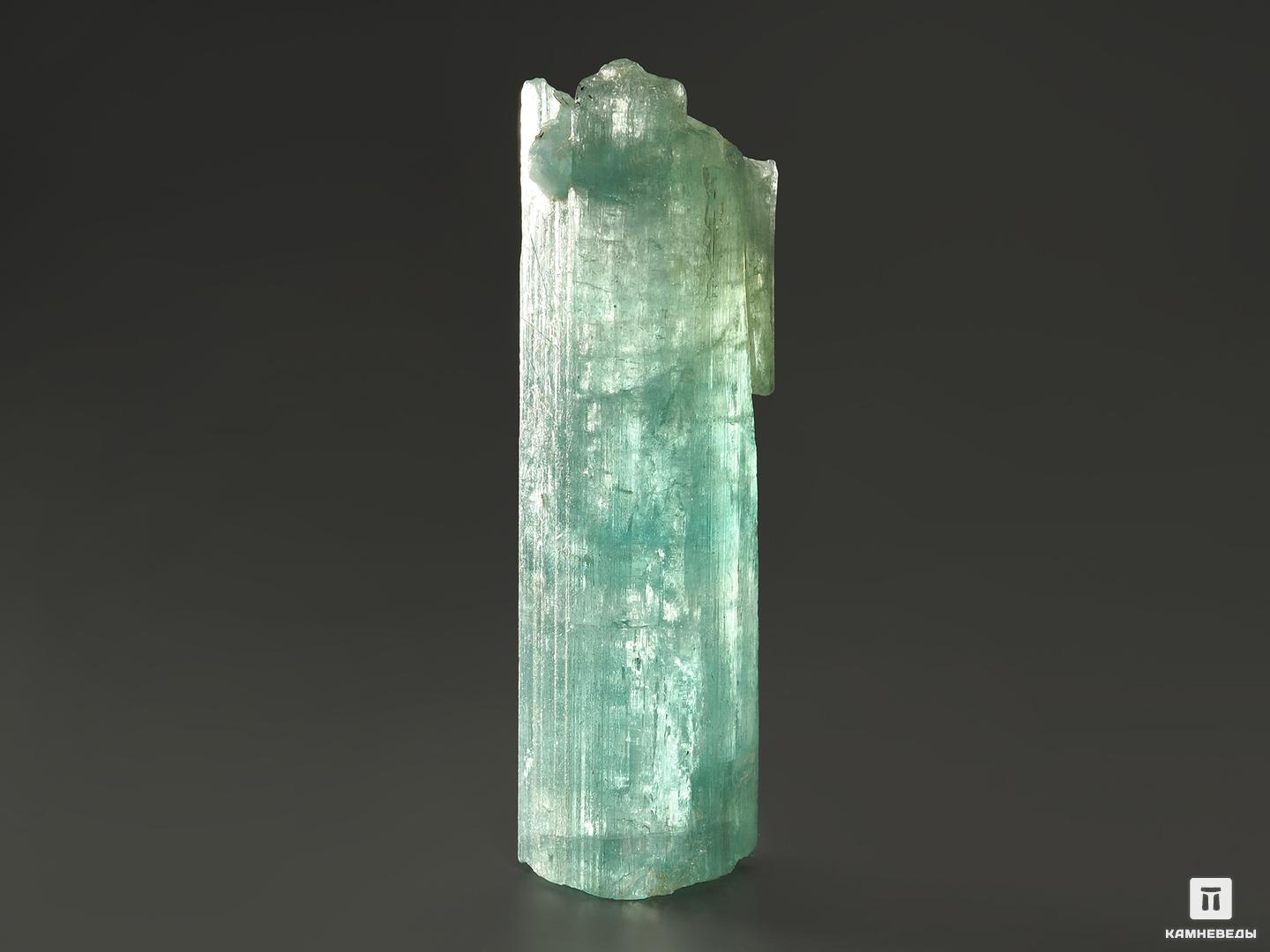Аквамарин (голубой берилл), кристалл 8,2х2,3х2 см, 8564, фото 2