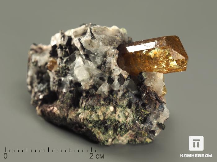 Апатит, кристалл в породе 5,4х2,9х2,6 см, 7696, фото 1