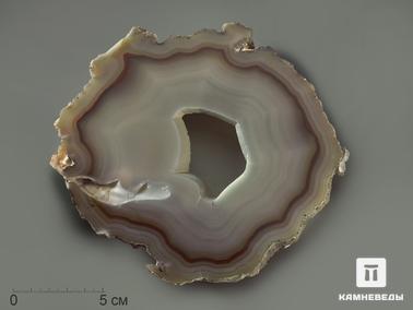 Агат. Агат, полированный срез 16,5х15,3х0,7 см