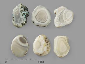 Агат, полированный срез, 2-3 см