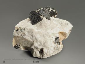 Магнетит, кристаллы в породе 10,7х8,9х7,9 см