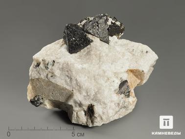 Магнетит. Магнетит, кристаллы в породе 10,7х8,9х7,9 см