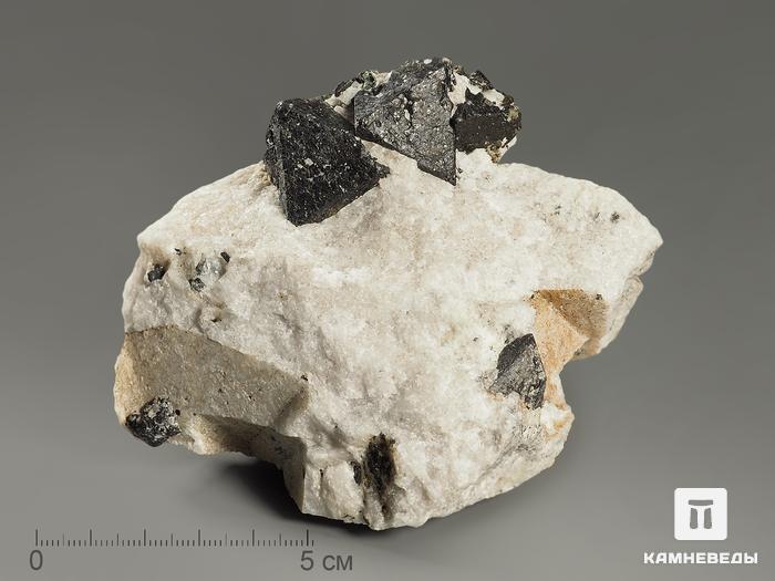 Магнетит, кристаллы в породе 10,7х8,9х7,9 см, 8592, фото 1