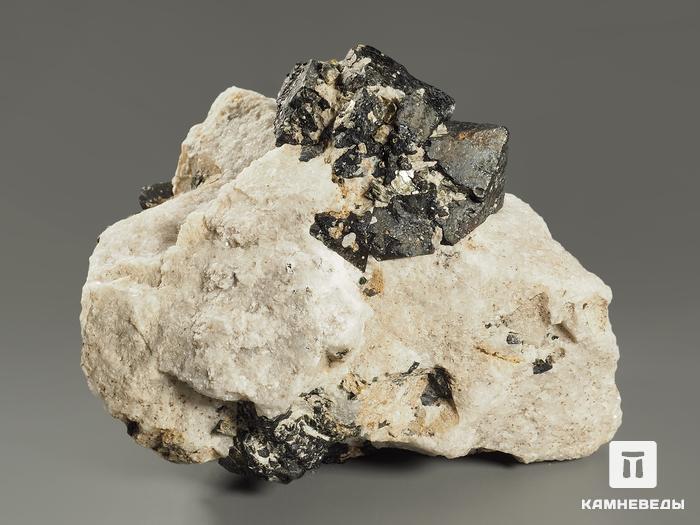 Магнетит, кристаллы в породе 10,7х8,9х7,9 см, 8592, фото 2