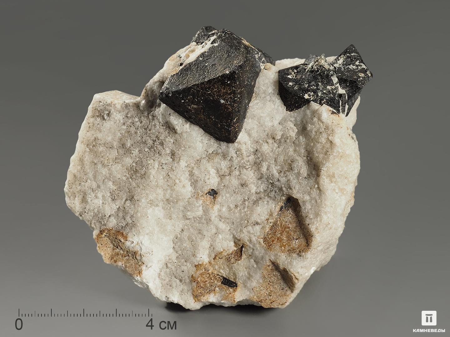 Магнетит, кристаллы в породе 10,4х9х6,3 см