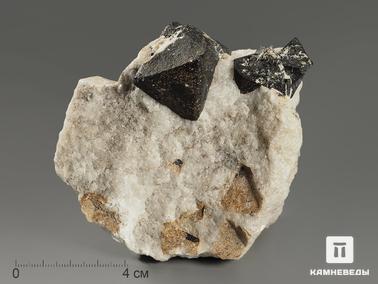 Магнетит. Магнетит, кристаллы в породе 10,4х9х6,3 см