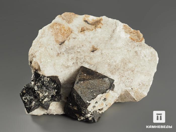 Магнетит, кристаллы в породе 10,4х9х6,3 см, 8593, фото 2