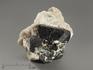 Магнетит, кристалл в породе 5,1х4,6х3,6 см, 8590, фото 1