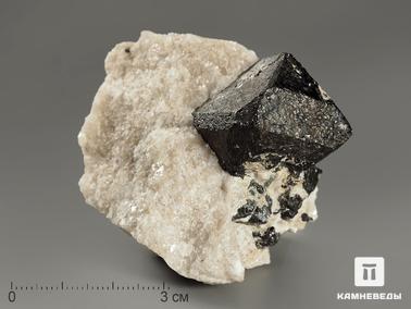 Магнетит. Магнетит, кристаллы в породе 6х4,9х3,9 см