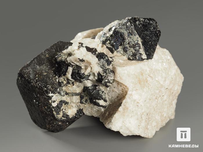 Магнетит, кристаллы в породе 6х4,9х3,9 см, 8591, фото 2