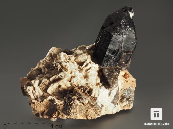 Морион, сросток кристаллов на породе 11,6х10х8,8 см, 8598, фото 1