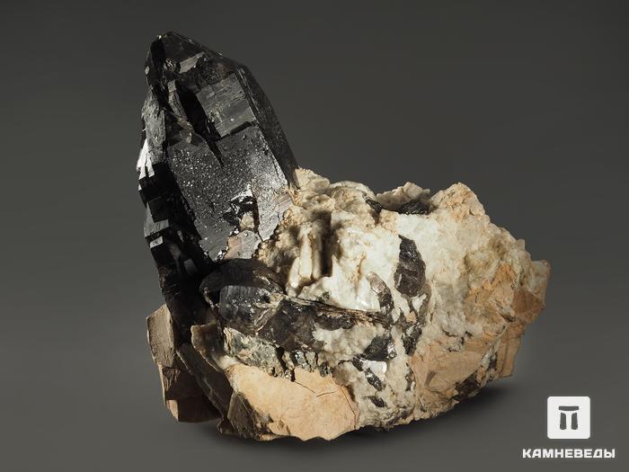 Морион, сросток кристаллов на породе 11,6х10х8,8 см, 8598, фото 2