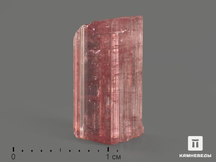 Турмалин (рубеллит), кристалл 1,1-1,4 см, 8276, фото 1