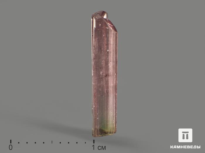 Турмалин (рубеллит), кристалл 1,2-1,5 см, 8268, фото 1