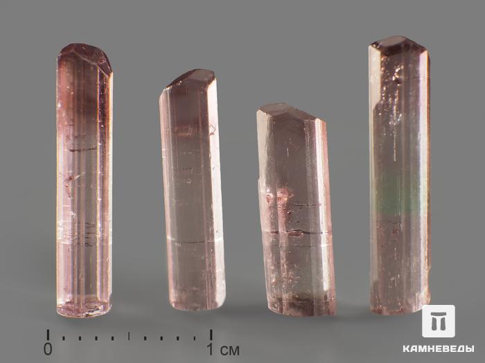 Турмалин (рубеллит), кристалл 1,2-1,5 см, 8268, фото 2