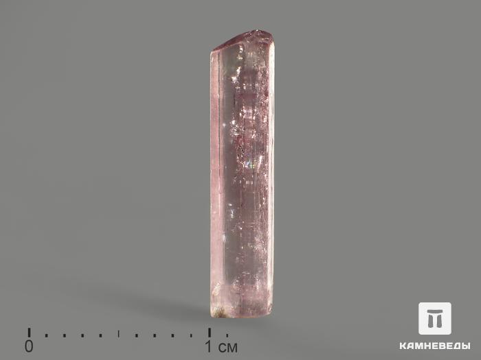 Турмалин (рубеллит), кристалл 1,4-1,6 см, 8267, фото 1