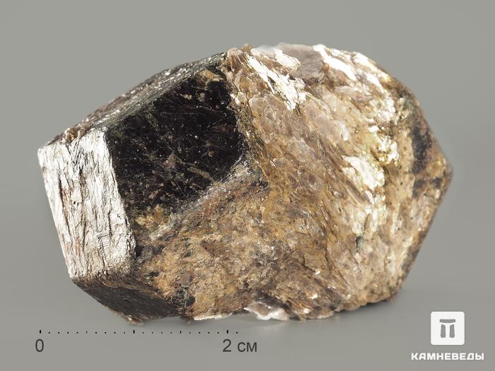Альмандин (гранат), кристалл 5,1х3х2,6 см, 8650, фото 1