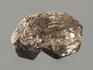 Гранат (альмандин), кристалл 4,5х2,7х2 см, 8649, фото 2