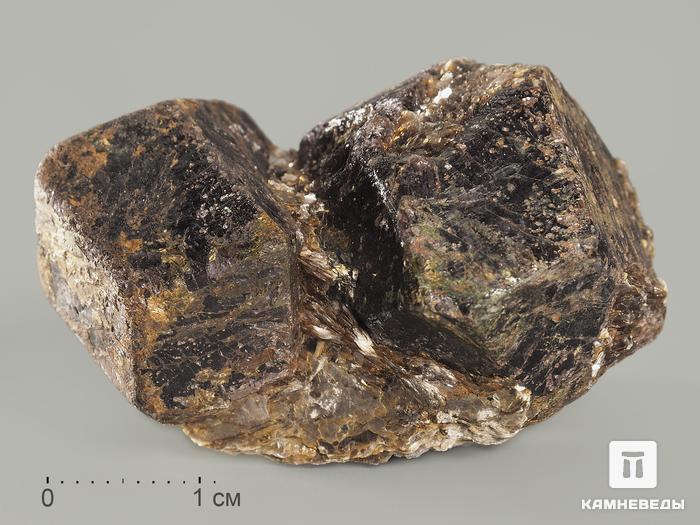 Гранат (альмандин), кристалл 4,5х2,7х2 см, 8649, фото 1