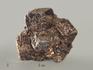 Альмандин (гранат), кристалл 4,6х4,3х3,9 см, 8651, фото 1