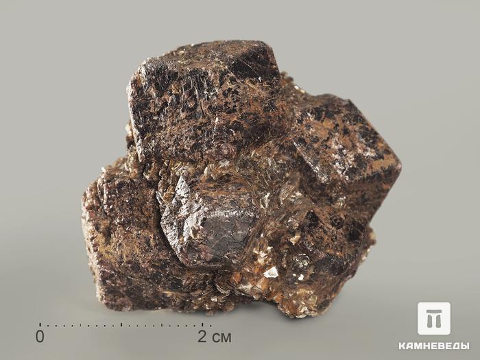 Альмандин (гранат), кристалл 4,6х4,3х3,9 см, 8651, фото 1