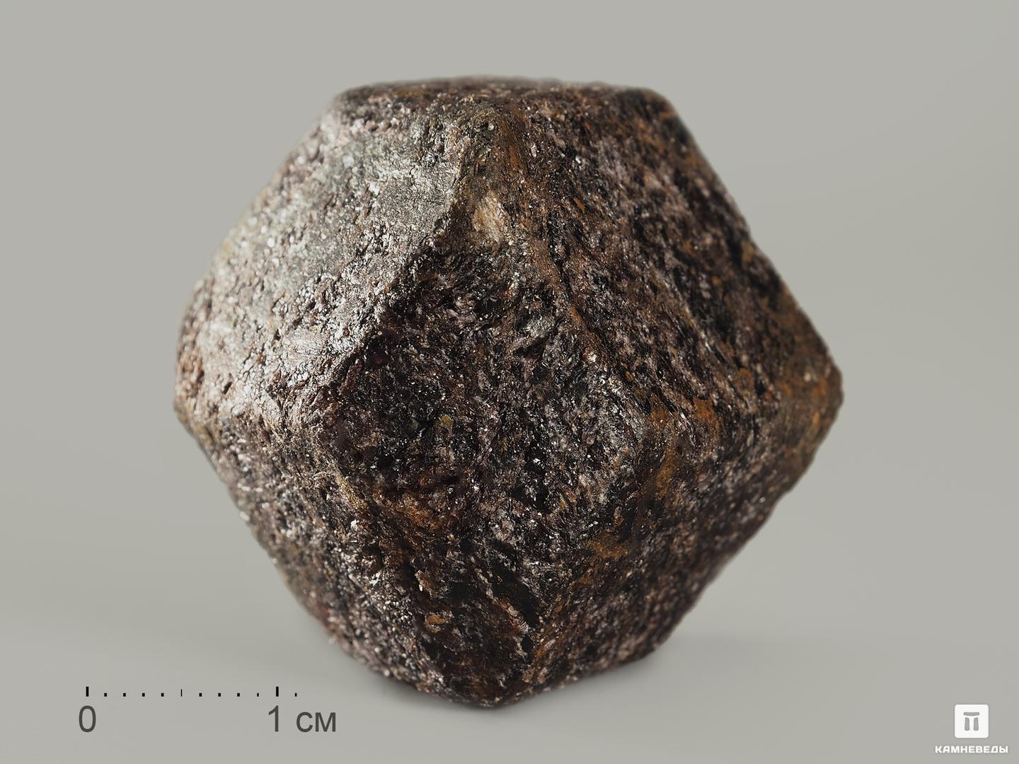 Гранат (альмандин), кристалл 4-4,5 см, 10-158/42, фото 1