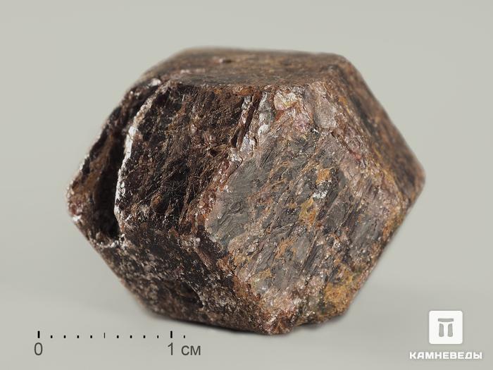 Гранат (альмандин), кристалл 2,5-3,5 см, 10-158/45, фото 1